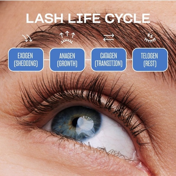 (NEW) Babe Original Essential Lash Serum 2-Pack - 6 Month Supply - Picture 8 of 16